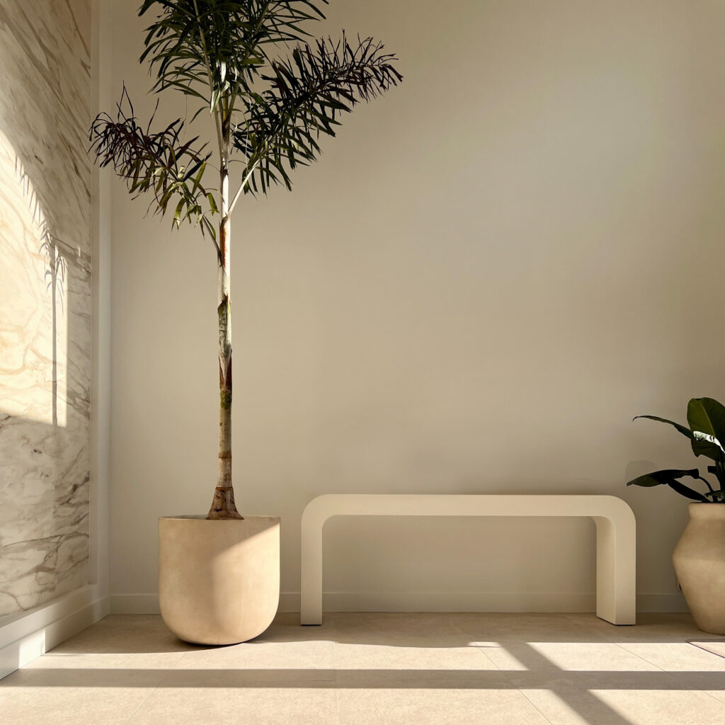 Bloom-Health-Lobby-Palm-Tree-G1